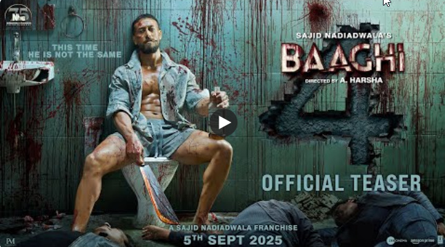 Baaghi 4 Review in Hindi